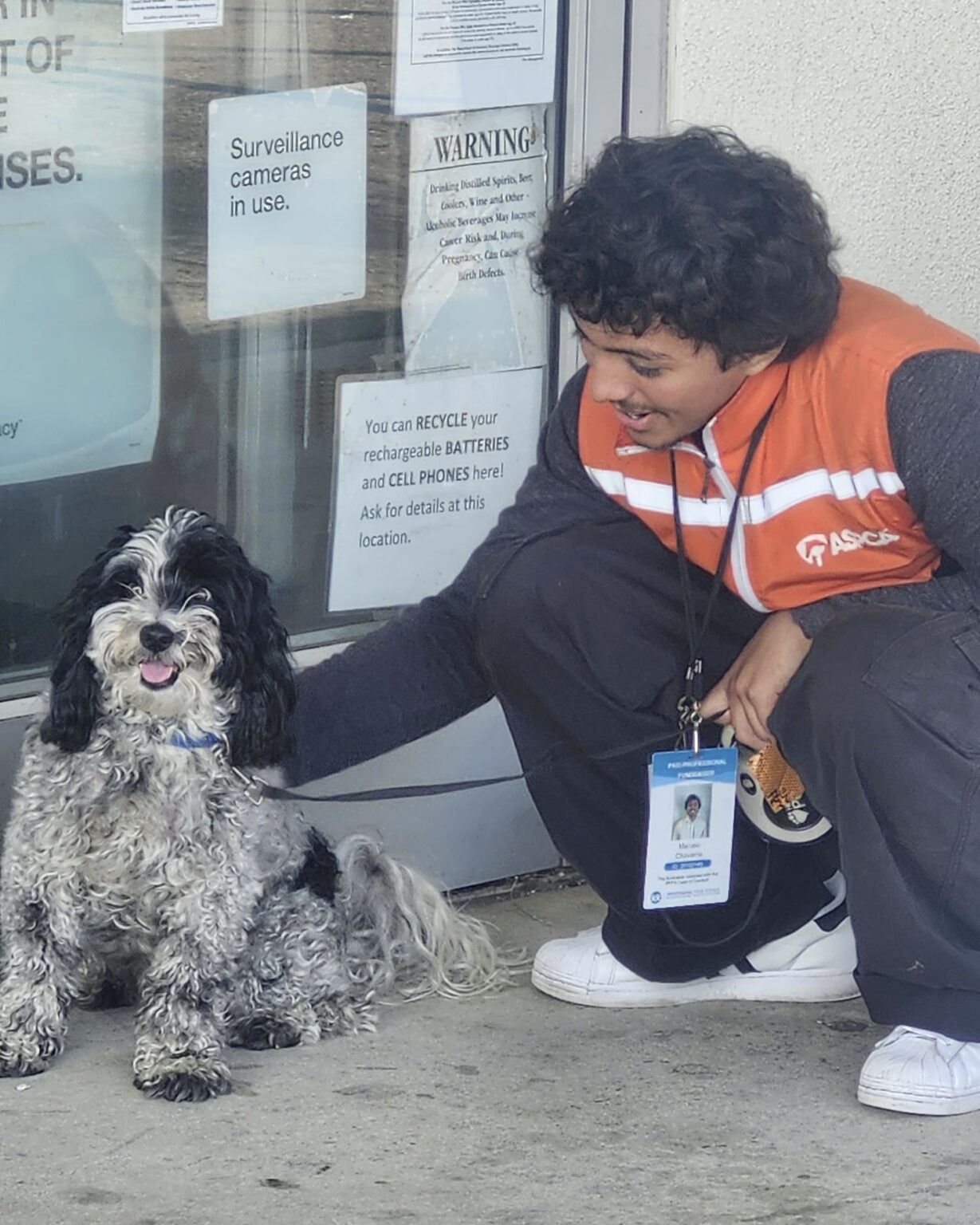 cc77e958-f493-40eb-94bc-3ad2b6278523